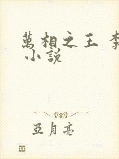 万相之王 李洛 小说