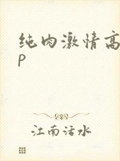 纯肉激情高hnp