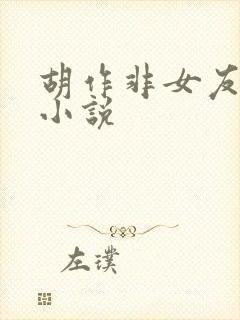 胡作非女友系列小说