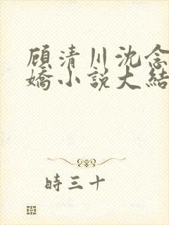顾清川沈念李娇娇小说大结局