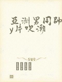 亚洲男同帅gay片吹潮封面