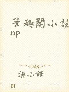 笔趣阁小说高hnp