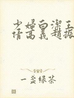 少妇白洁王申孙倩高义赵振封面