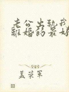 老公出轨我不想离婚的最好办法封面