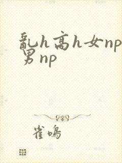 乱h高h女np男np