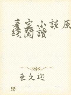 麦家小说原著在线阅读封面