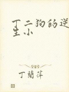 丁二狗的逆袭人生小