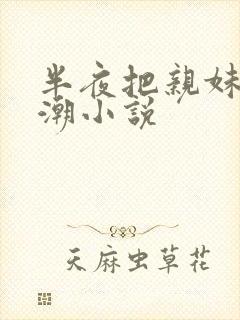 半夜把亲妹妹高潮小说