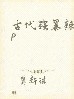 古代强暴辣文np