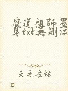 魔道祖师墨香铜臭txt无删减
