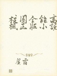 校园全能高手季枫正版小说