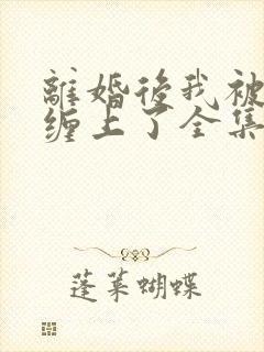 离婚后我被前夫缠上了全集txt封面