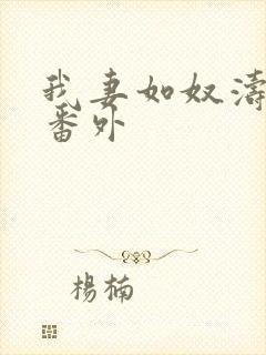 我妻如奴涛生日番外封面