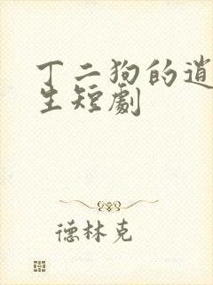 丁二狗的逍遥人生短剧