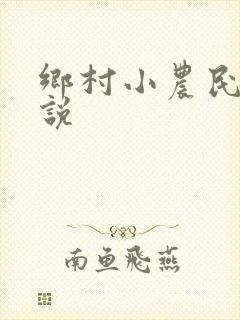 乡村小农民 小说封面