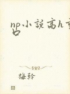 np小说高h重口