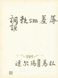 调教sm羞辱小说