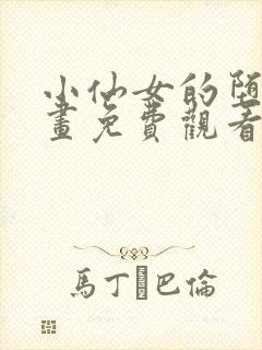 小仙女的堕落漫画免费观看下拉式