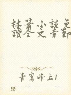 林萧小说免费阅读全文章节