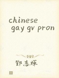 chinese gay gv pron