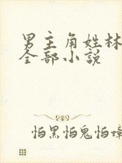 男主角姓林辰的全部小说封面