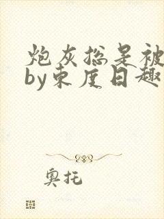 炮灰总是被觊觎by东度日趣笔阁