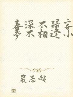 春深不归客,清梦不相逢小说免费阅读