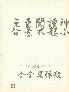 免费阅读神秘老公惹不起小说封面