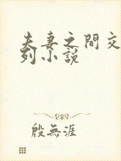 夫妻之间交换系列小说