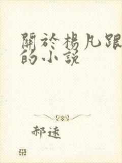 关于杨凡跟李灿的小说