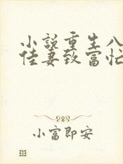 小说重生八零:佳妻致富忙封面