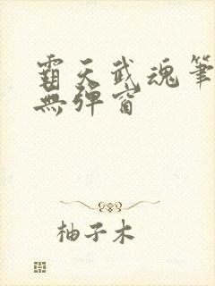 霸天武魂笔趣阁无弹窗封面