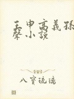 王申高义孙倩有声小说