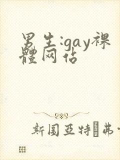 男生:gay裸体网站封面