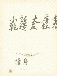 小说 大唐李承乾造反 杜荷封面