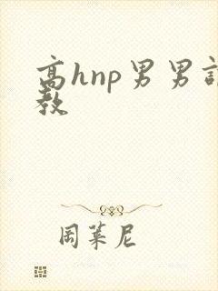 高hnp男男调教