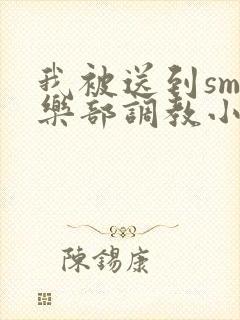 我被送到sm俱乐部调教小说