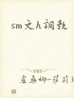 sm文h调教