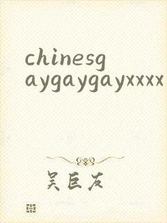 chinesgaygaygayxxxx