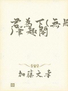 君为下(无删减)笔趣阁封面