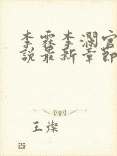 李霖李澜官场小说最新章节封面