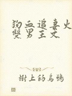 狗血追妻火葬场双男主文