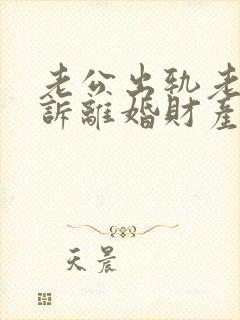 老公出轨老婆起诉离婚财产怎么分
