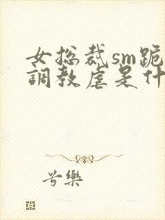 女总裁sm跪爬调教虐是什么