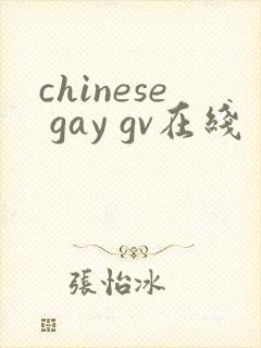 chinese gay gv在线