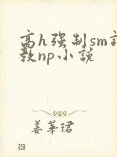 高h强制sm调教np小说