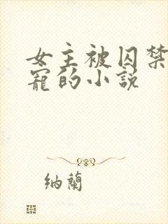 女主被囚禁当禁宠的小说