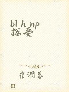 bl h np总受封面