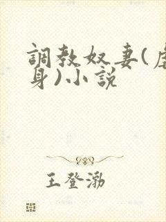 调教奴妻(虐女身)小说封面