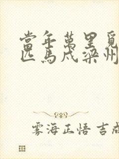 当年万里觅封侯匹马戍梁州什么意思